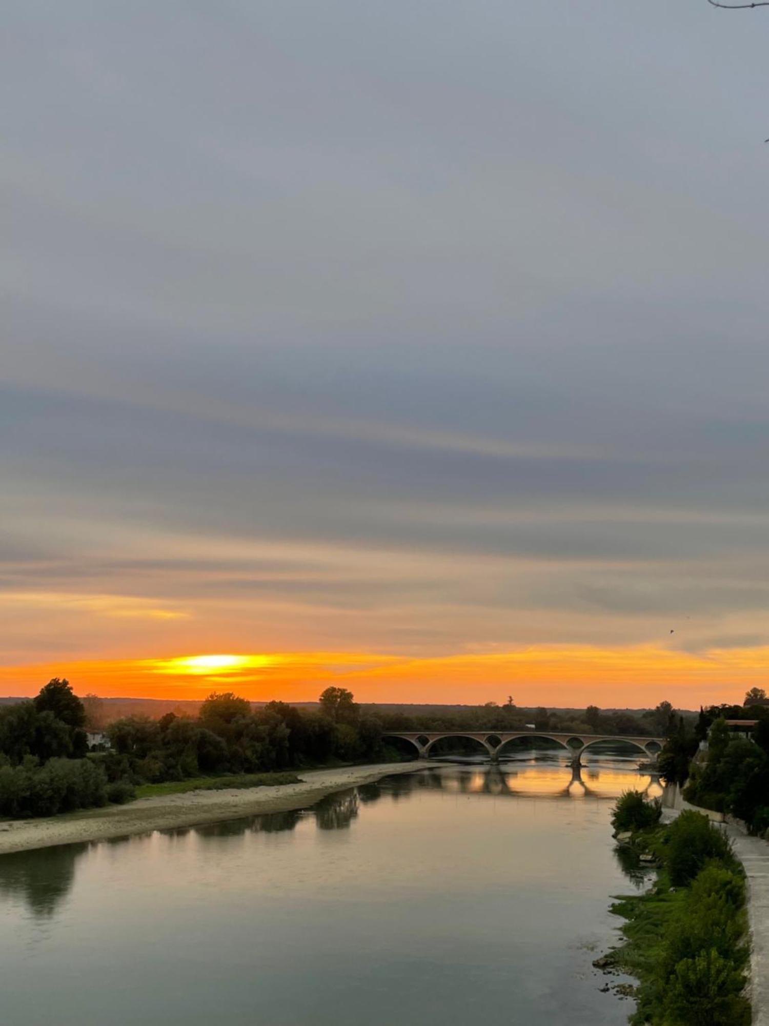 Hotel Restaurant Cote Garonne Le Balcon Des Dames - Tonneins Fauillet Marmande - Vue Panoramique Bord De Garonne Chambres Climatisees Ngoại thất bức ảnh